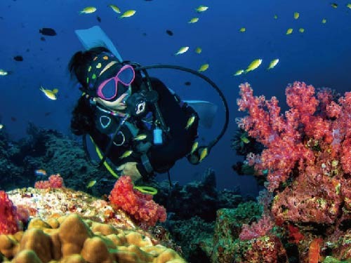 夏日來臨 去澎湖玩只要5999/人起